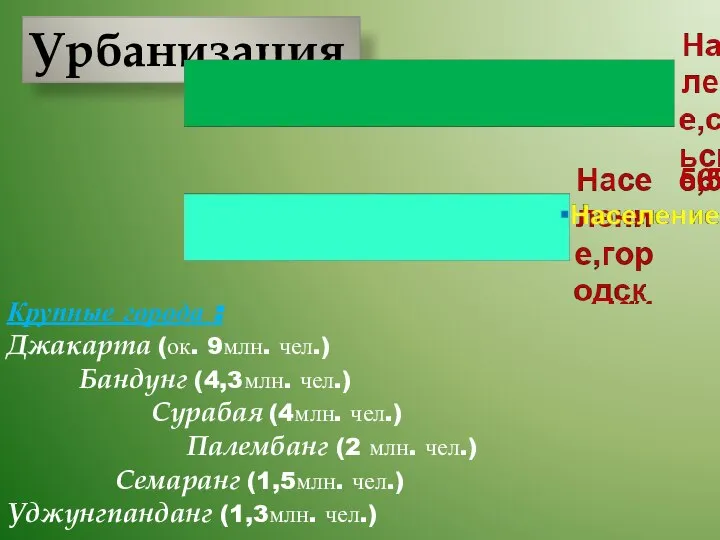 Урбанизация Крупные города : Джакарта (ок. 9млн. чел.) Бандунг (4,3млн. чел.)