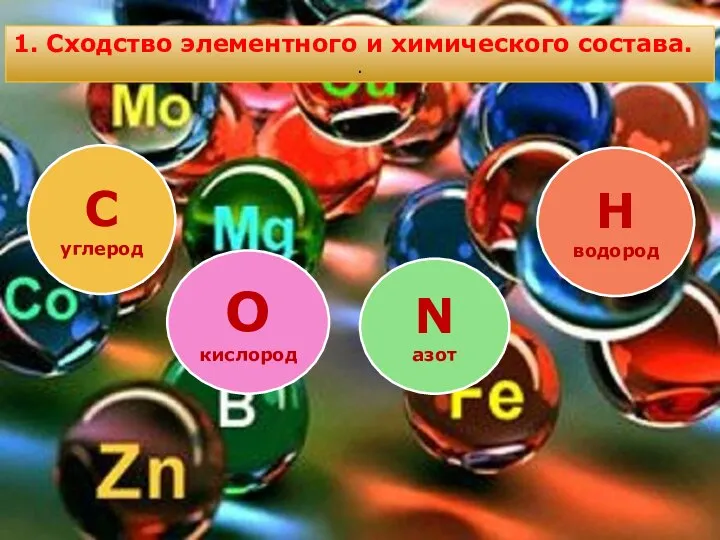 1. Сходство элементного и химического состава. . С углерод O кислород N азот H водород