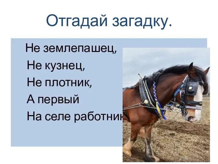 Отгадай загадку. Не землепашец, Не кузнец, Не плотник, А первый На селе работник.