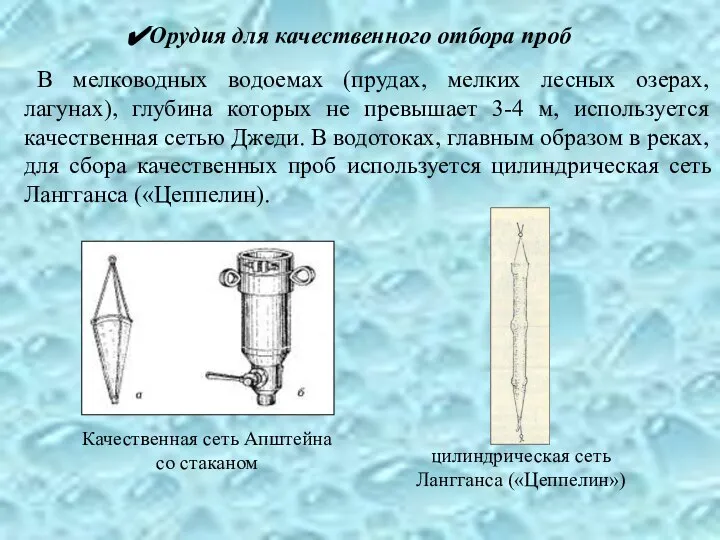 В мелководных водоемах (прудах, мелких лесных озерах, лагунах), глубина которых не