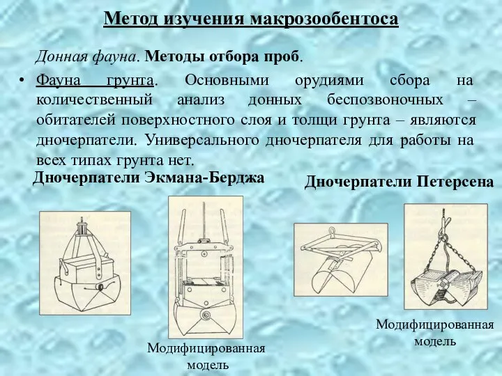 Донная фауна. Методы отбора проб. Фауна грунта. Основными орудиями сбора на