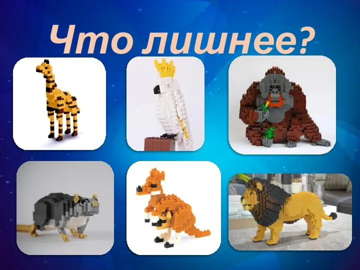 Что лишнее?