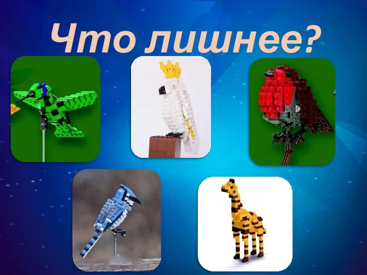 Что лишнее?