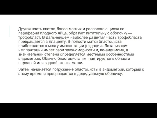 Другая часть клеток, более мелких и располагающихся по периферии плодного яйца,