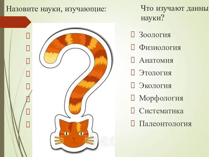 Назовите науки, изучающие: Внутренние органы Разнообразие Вымершие организмы Поведение Внешнее строение