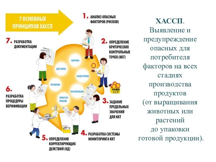 ХАССП. Выявление и предупреждение опасных для потребителя факторов на всех стадиях