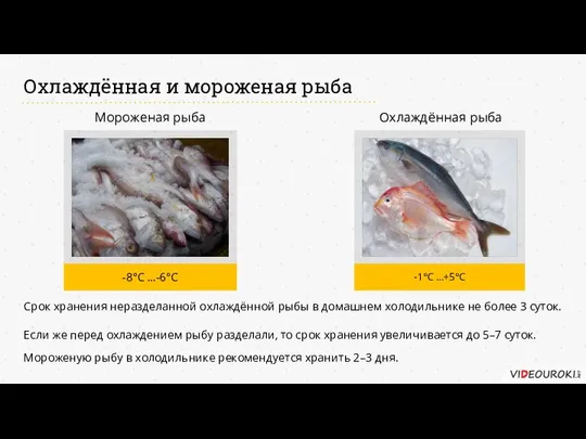 Охлаждённая и мороженая рыба Срок хранения неразделанной охлаждённой рыбы в домашнем