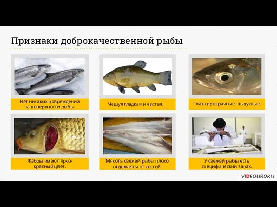 Признаки доброкачественной рыбы