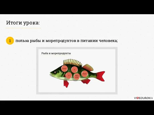 Итоги урока: польза рыбы и морепродуктов в питании человека; 1