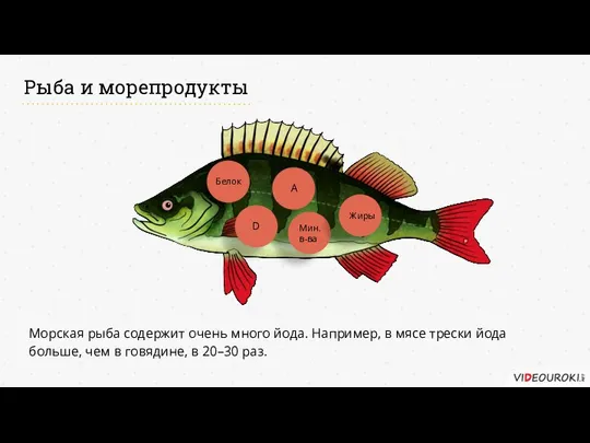 Рыба и морепродукты Морская рыба содержит очень много йода. Например, в
