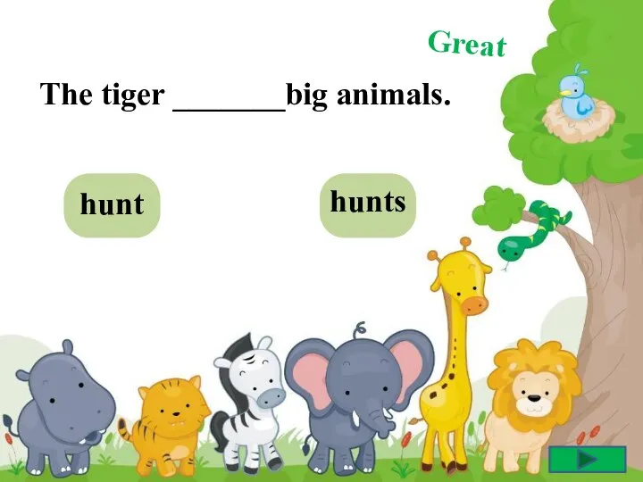 The tiger _______big animals. hunt hunts Great