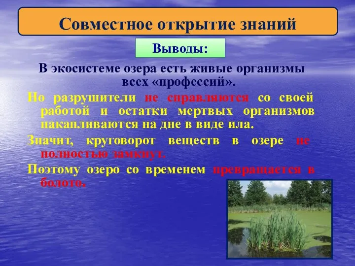 Выводы: В экосистеме озера есть живые организмы всех «профессий». Но разрушители