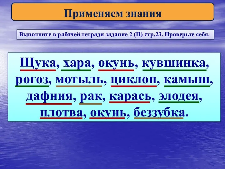 Применяем знания Выполните в рабочей тетради задание 2 (П) стр.23. Проверьте