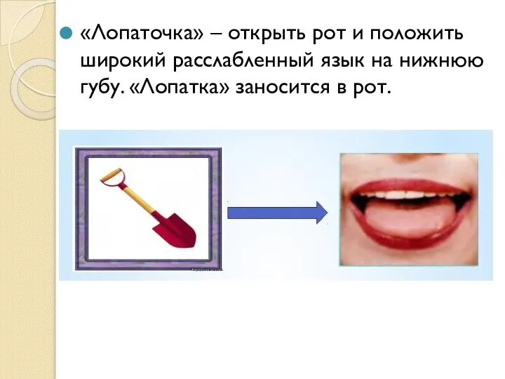 «Лопаточка» – открыть рот и положить широкий расслабленный язык на нижнюю губу. «Лопатка» заносится в рот.