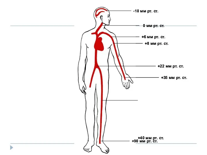 -10 мм рт. ст. 0 мм рт. ст. +6 мм рт.