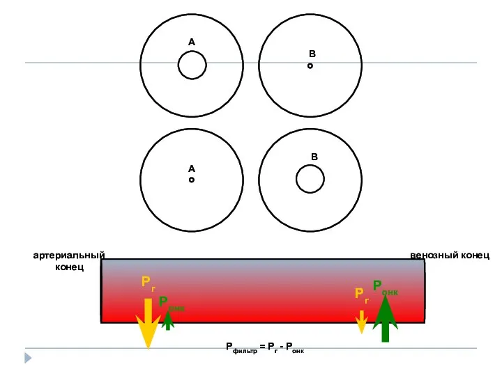 А В А В артериальный конец венозный конец Рфильтр = Рг