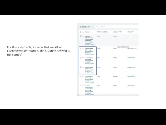 For these elements, it seems that workflow Lizenzen was not started.