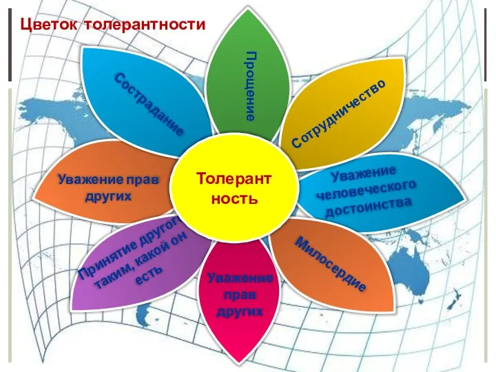 Сотрудничество Прощение Цветок толерантности