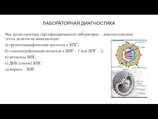 ЛАБОРАТОРНАЯ ДИАГНОСТИКА Все существующие сертифицированные лабораторно – диагностические тесты делятся на