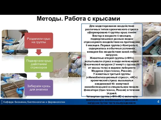 Методы. Работа с крысами Для моделирования воздействия различных типов хронического стресса