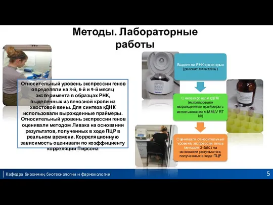 Методы. Лабораторные работы Относительный уровень экспрессии генов определяли на 3-й, 6-й