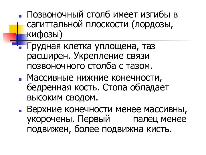 Позвоночный столб имеет изгибы в сагиттальной плоскости (лордозы, кифозы) Грудная клетка