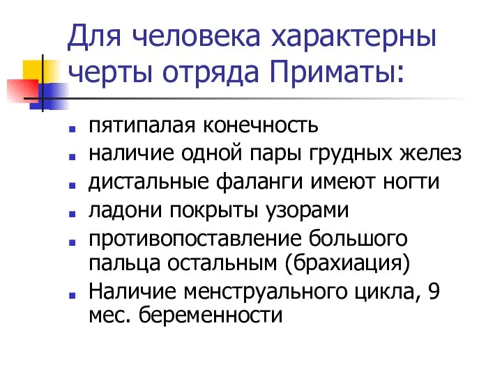 Для человека характерны черты отряда Приматы: пятипалая конечность наличие одной пары