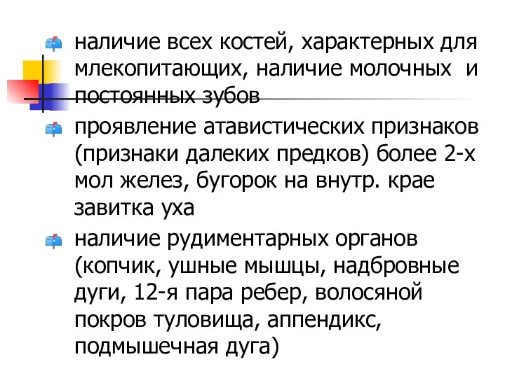 наличие всех костей, характерных для млекопитающих, наличие молочных и постоянных зубов