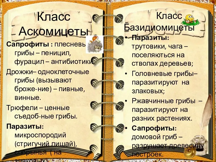 Класс Аскомицеты Сапрофиты : плесневые грибы – пеницил, фурацил – антибиотики.