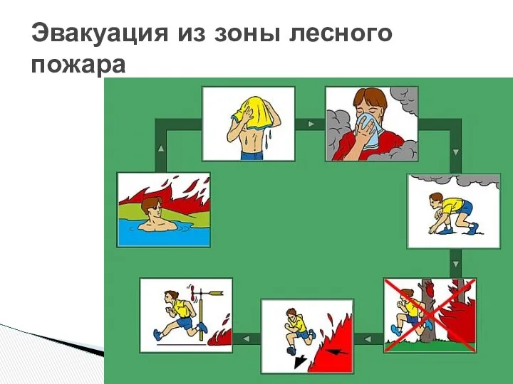 Эвакуация из зоны лесного пожара