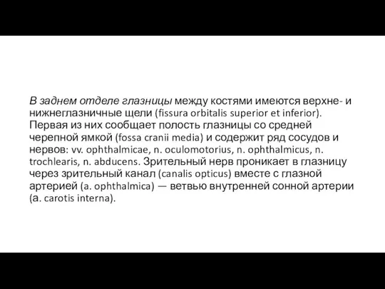 В заднем отделе глазницы между костями имеются верхне- и нижнеглазничные щели