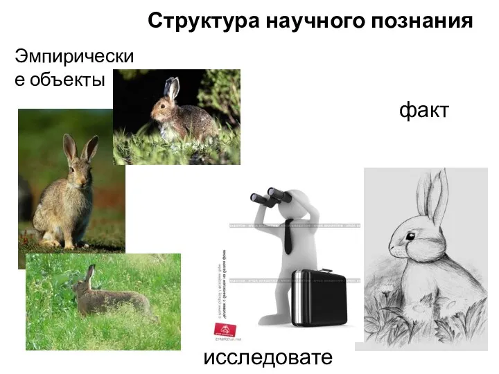 Структура научного познания Эмпирические объекты исследователь факт