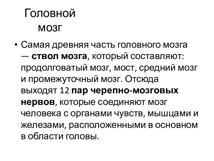 Головной мозг Самая древняя часть головного мозга — ствол мозга, который