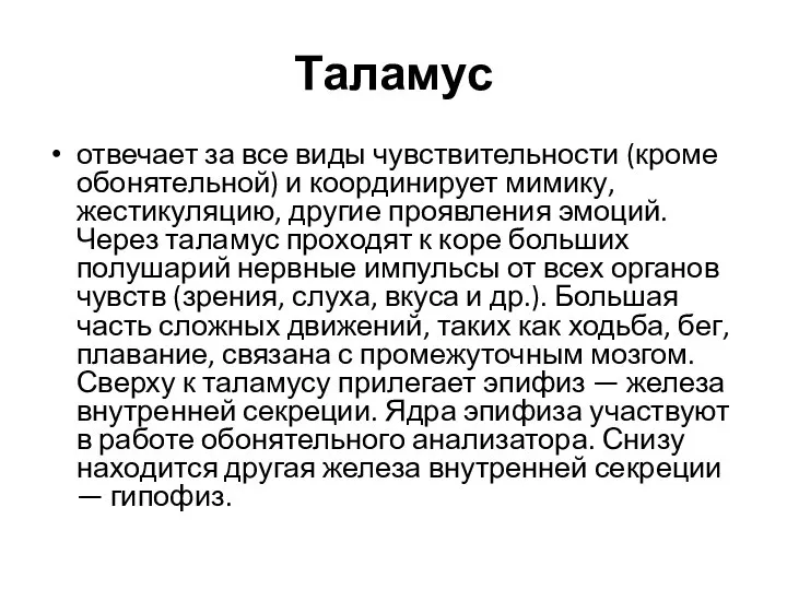 Таламус отвечает за все виды чувствительности (кроме обонятельной) и координирует мимику,