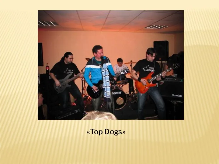 «Top Dogs»