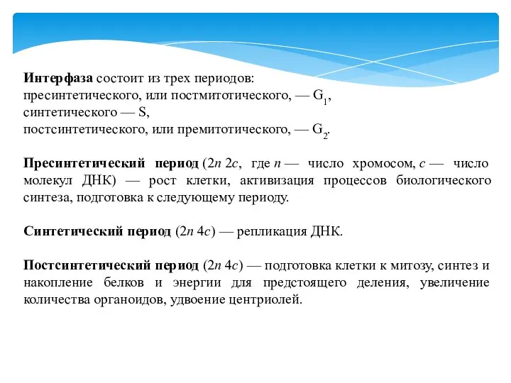 Интерфаза состоит из трех периодов: пресинтетического, или постмитотического, — G1, синтетического