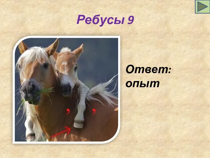 Ребусы 9 Ответ: опыт