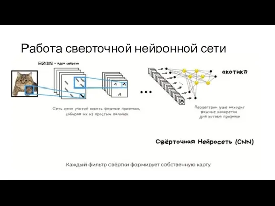 Работа сверточной нейронной сети