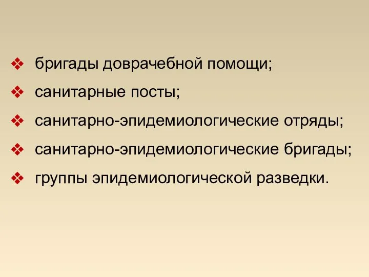 бригады доврачебной помощи; санитарные посты; санитарно-эпидемиологические отряды; санитарно-эпидемиологические бригады; группы эпидемиологической разведки.