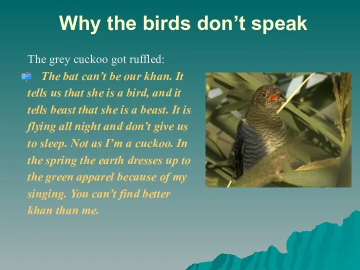 Why the birds don’t speak The grey cuckoo got ruffled: The