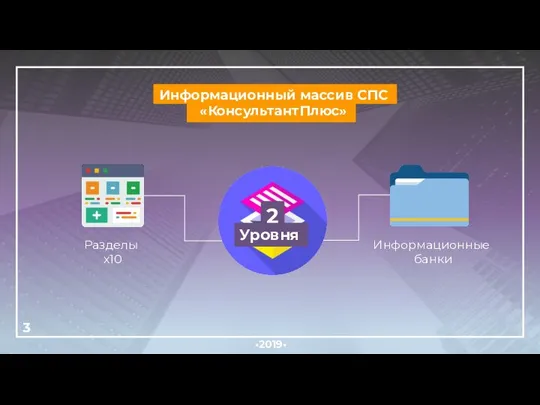 Информационный массив СПС «КонсультантПлюс» 3 •2019• Разделы х10 Информационные банки 2 Уровня