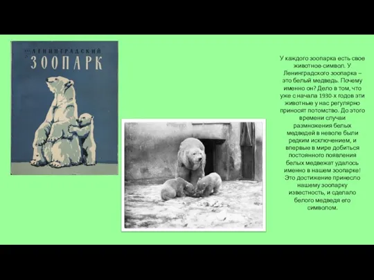 У каждого зоопарка есть свое животное-символ. У Ленинградского зоопарка – это