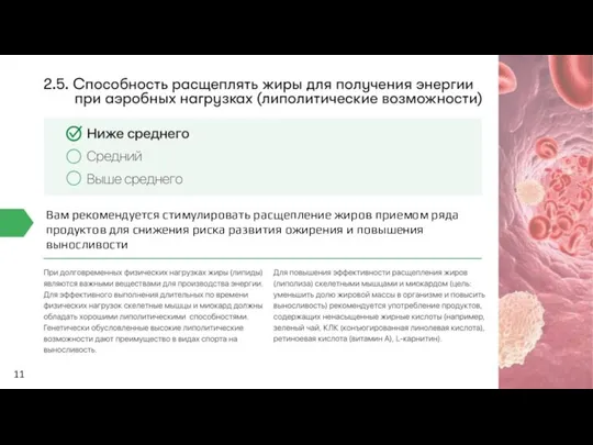 11 Вам рекомендуется стимулировать расщепление жиров приемом ряда продуктов для снижения