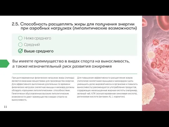 11 Вы имеете преимущество в видах спорта на выносливость, а также незначительный риск развития ожирения