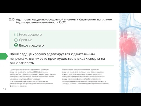 16 Ваше сердце хорошо адаптируется к длительным нагрузкам, вы имеете преимущество в видах спорта на выносливость