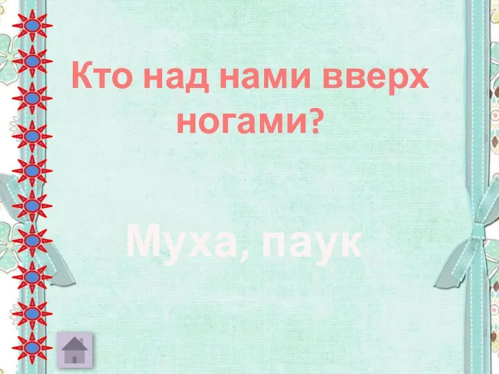 Кто над нами вверх ногами? Муха, паук