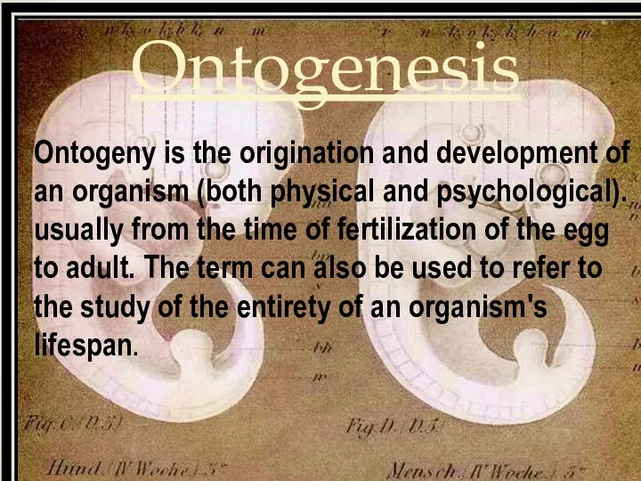 Ontogenesis Ontogeny is the origination and development of an organism (both