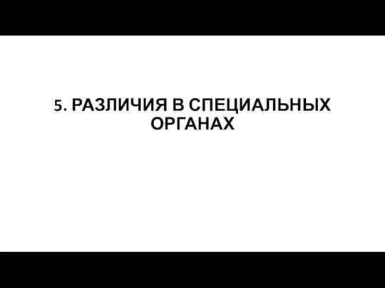 5. РАЗЛИЧИЯ В СПЕЦИАЛЬНЫХ ОРГАНАХ