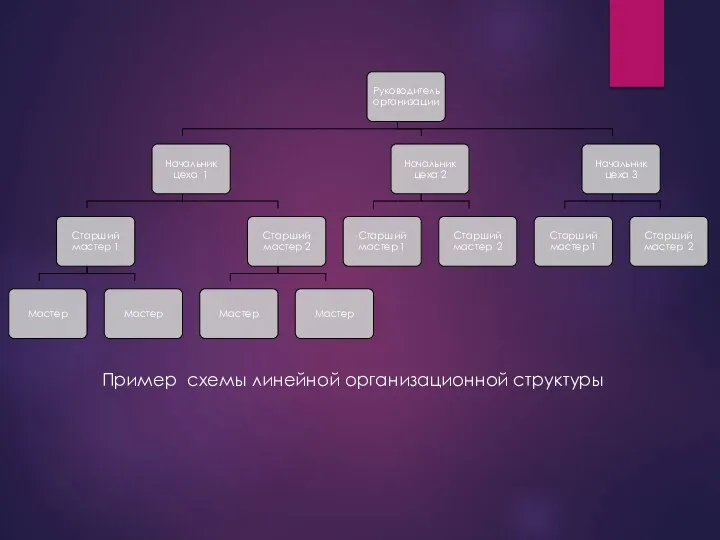 Пример схемы линейной организационной структуры