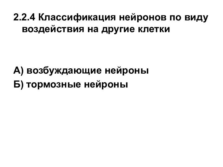 2.2.4 Классификация нейронов по виду воздействия на другие клетки А) возбуждающие нейроны Б) тормозные нейроны